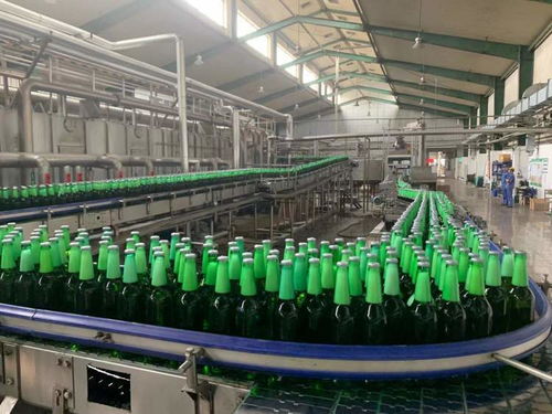 一表集成、自動(dòng)計(jì)算 上海17稅費(fèi)種綜合申報(bào)賦能企業(yè)智慧辦稅